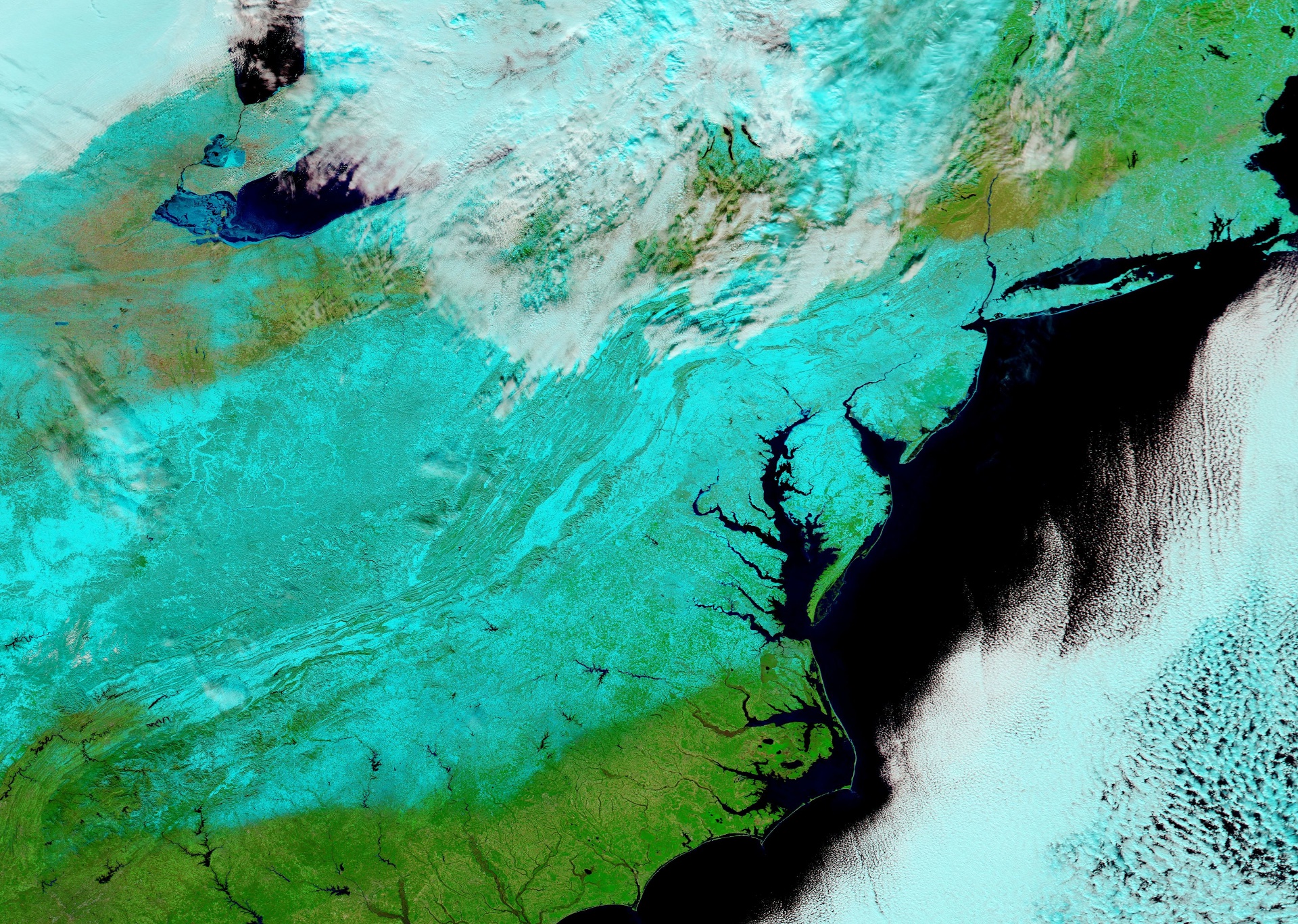 Tempête de neige - Jonas - Snowzilla - New York - Washington - côte est - Janvier 2016 - Aqua - MODIS - NASA