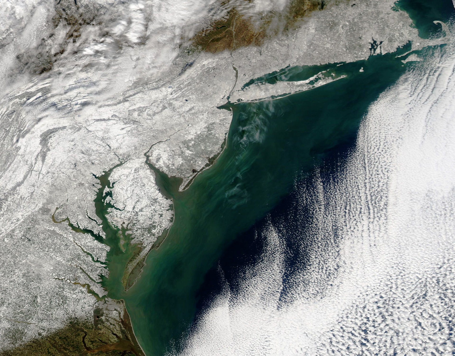 Snowzilla - Tempête de neige - New York - Washington - Côte est - Aqua - MODIS - NASA