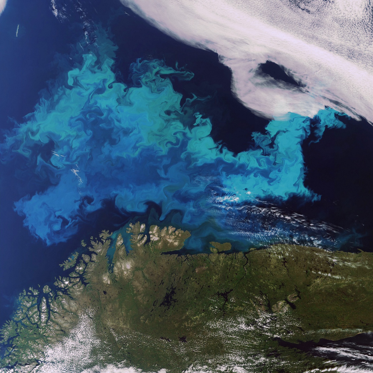 Envisat - MERIS - Algal bloom - Cap nord - ESA - Sentinel 2 - Copernicus - Coastal management - côtier