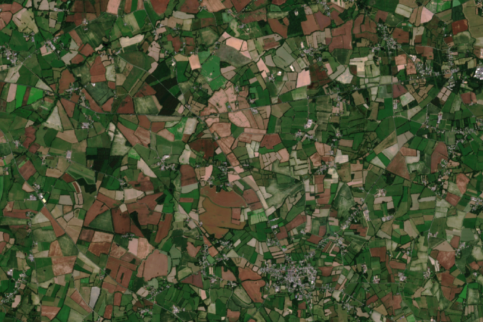Quiz image - Satellites et environnement - Observation de la Terre - Agriculture - Remote sensing - Un autre regard sur la Terre - Juillet