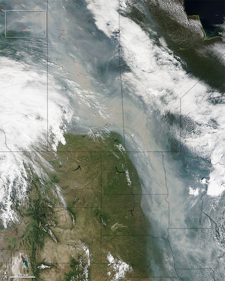 Incendie - Canada - Nuage de fumée au dessus des USA - Satellite - Terra - MODIS - Wild fires - Limites des états